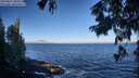 ./images/koeye/fitz-hugh/20250811/fitz-hugh20250811_083511M.jpg