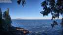 ./images/koeye/fitz-hugh/20250811/fitz-hugh20250811_084011M.jpg