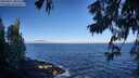 ./images/koeye/fitz-hugh/20250811/fitz-hugh20250811_084511M.jpg