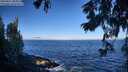./images/koeye/fitz-hugh/20250811/fitz-hugh20250811_085010M.jpg