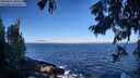./images/koeye/fitz-hugh/20250811/fitz-hugh20250811_085510M.jpg