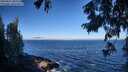 ./images/koeye/fitz-hugh/20250811/fitz-hugh20250811_090011M.jpg