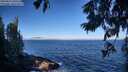 ./images/koeye/fitz-hugh/20250811/fitz-hugh20250811_090509M.jpg