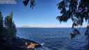 ./images/koeye/fitz-hugh/20250811/fitz-hugh20250811_091009M.jpg