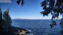 ./images/koeye/fitz-hugh/20250811/fitz-hugh20250811_091508M.jpg