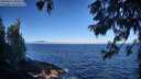 ./images/koeye/fitz-hugh/20250811/fitz-hugh20250811_092010M.jpg