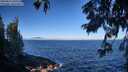 ./images/koeye/fitz-hugh/20250811/fitz-hugh20250811_092509M.jpg