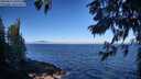 ./images/koeye/fitz-hugh/20250811/fitz-hugh20250811_093012M.jpg