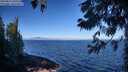 ./images/koeye/fitz-hugh/20250811/fitz-hugh20250811_093511M.jpg