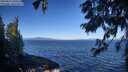 ./images/koeye/fitz-hugh/20250811/fitz-hugh20250811_094510M.jpg
