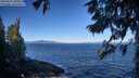 ./images/koeye/fitz-hugh/20250811/fitz-hugh20250811_095010M.jpg