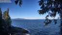 ./images/koeye/fitz-hugh/20250811/fitz-hugh20250811_095509M.jpg