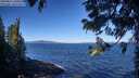 ./images/koeye/fitz-hugh/20250811/fitz-hugh20250811_100509M.jpg