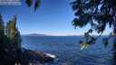 ./images/koeye/fitz-hugh/20250811/fitz-hugh20250811_101011M.jpg