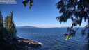 ./images/koeye/fitz-hugh/20250811/fitz-hugh20250811_102012M.jpg