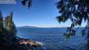 ./images/koeye/fitz-hugh/20250811/fitz-hugh20250811_103011M.jpg