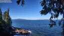 ./images/koeye/fitz-hugh/20250811/fitz-hugh20250811_103510M.jpg