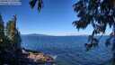 ./images/koeye/fitz-hugh/20250811/fitz-hugh20250811_104011M.jpg