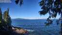 ./images/koeye/fitz-hugh/20250811/fitz-hugh20250811_104512M.jpg