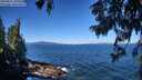 ./images/koeye/fitz-hugh/20250811/fitz-hugh20250811_105009M.jpg