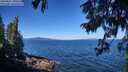 ./images/koeye/fitz-hugh/20250811/fitz-hugh20250811_105510M.jpg