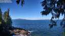 ./images/koeye/fitz-hugh/20250811/fitz-hugh20250811_110508M.jpg