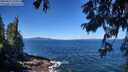 ./images/koeye/fitz-hugh/20250811/fitz-hugh20250811_111009M.jpg