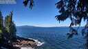 ./images/koeye/fitz-hugh/20250811/fitz-hugh20250811_112010M.jpg