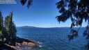 ./images/koeye/fitz-hugh/20250811/fitz-hugh20250811_114512M.jpg