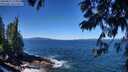 ./images/koeye/fitz-hugh/20250811/fitz-hugh20250811_115008M.jpg