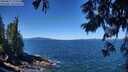./images/koeye/fitz-hugh/20250811/fitz-hugh20250811_115510M.jpg