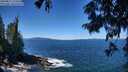 ./images/koeye/fitz-hugh/20250811/fitz-hugh20250811_121511M.jpg