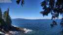 ./images/koeye/fitz-hugh/20250811/fitz-hugh20250811_122510M.jpg