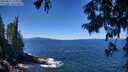 ./images/koeye/fitz-hugh/20250811/fitz-hugh20250811_123012M.jpg