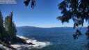 ./images/koeye/fitz-hugh/20250811/fitz-hugh20250811_124011M.jpg