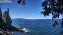 ./images/koeye/fitz-hugh/20250811/fitz-hugh20250811_124510M.jpg