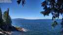 ./images/koeye/fitz-hugh/20250811/fitz-hugh20250811_125011M.jpg