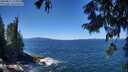 ./images/koeye/fitz-hugh/20250811/fitz-hugh20250811_130010M.jpg