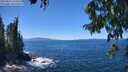 ./images/koeye/fitz-hugh/20250811/fitz-hugh20250811_134511M.jpg