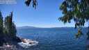 ./images/koeye/fitz-hugh/20250811/fitz-hugh20250811_135511M.jpg
