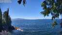 ./images/koeye/fitz-hugh/20250811/fitz-hugh20250811_140011M.jpg