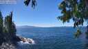 ./images/koeye/fitz-hugh/20250811/fitz-hugh20250811_140511M.jpg