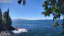 ./images/koeye/fitz-hugh/20250811/fitz-hugh20250811_141009M.jpg
