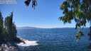 ./images/koeye/fitz-hugh/20250811/fitz-hugh20250811_141511M.jpg
