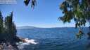 ./images/koeye/fitz-hugh/20250811/fitz-hugh20250811_142510M.jpg