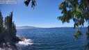 ./images/koeye/fitz-hugh/20250811/fitz-hugh20250811_143011M.jpg