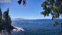 ./images/koeye/fitz-hugh/20250811/fitz-hugh20250811_143511M.jpg