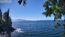 ./images/koeye/fitz-hugh/20250811/fitz-hugh20250811_144010M.jpg