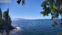 ./images/koeye/fitz-hugh/20250811/fitz-hugh20250811_145010M.jpg