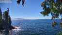 ./images/koeye/fitz-hugh/20250811/fitz-hugh20250811_145509M.jpg